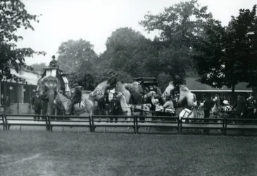 Riding Animals Bedecked for the Peace Day Celebrations, 19th July 1919